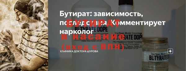сатива Новозыбков