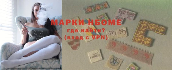 сатива Новозыбков