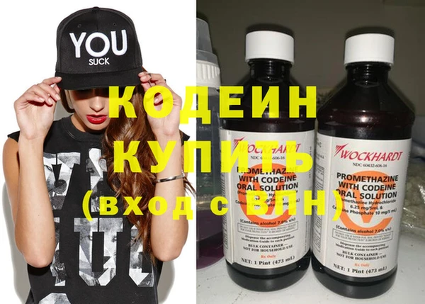 сатива Новозыбков