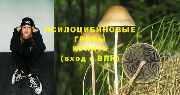 гашик Нея