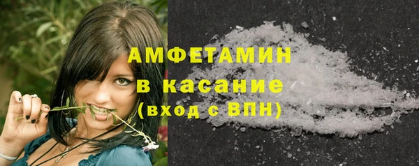 шишки Каменногорск