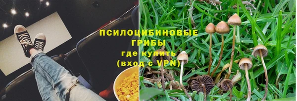 гашик Нея