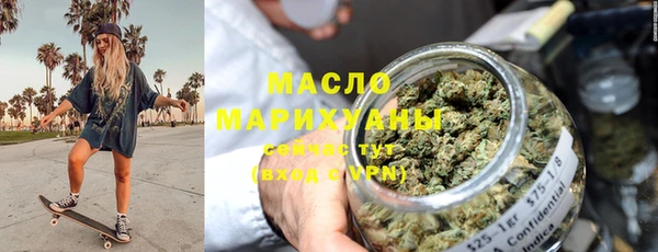 сатива Новозыбков