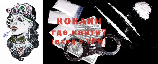 сатива Новозыбков